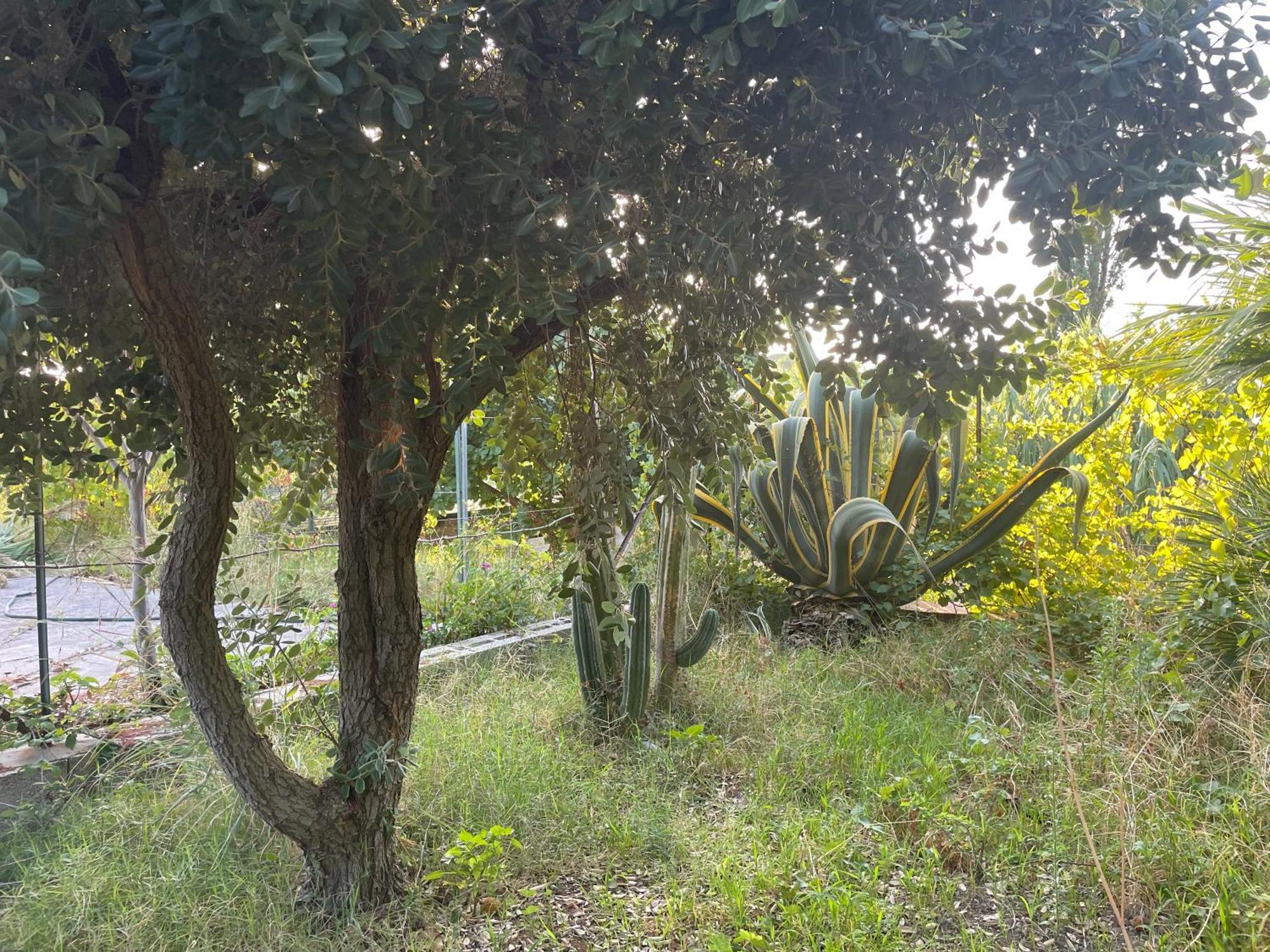 Villa Vittoria Trappeto  Exteriör bild